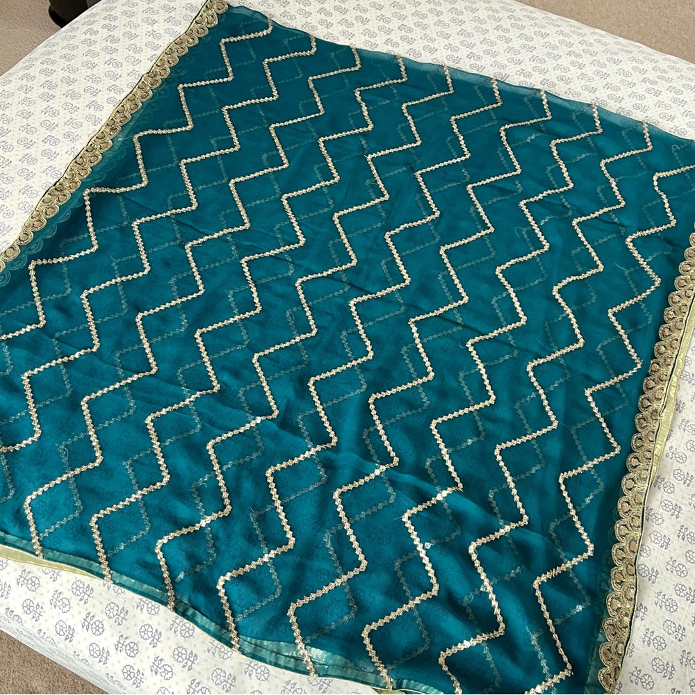 Sequin Embellished Chiffon Dupatta/Scarf - Picture 7 of 12